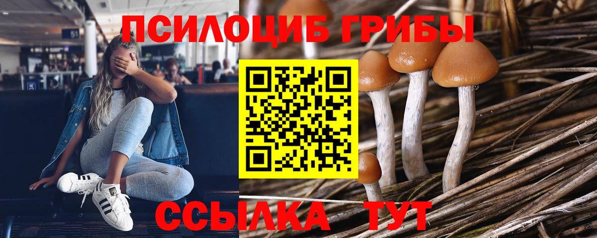 Люберцы  Псилоцибиновые грибы MAGIC MUSHROOMS  Галлюциногенные грибы MAGIC MUSHROOMS  Вход с VPN 